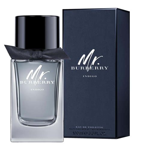 burberry indigo blue shirt|Burberry indigo cologne for men.